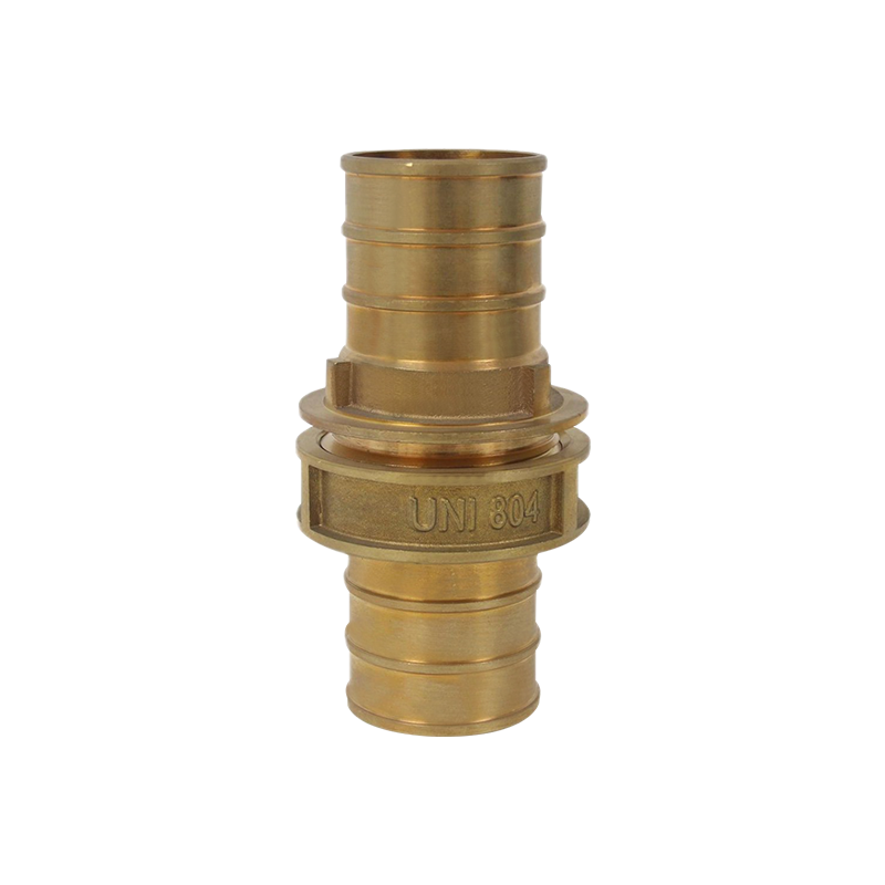 Włochy uniwersyteckie węża